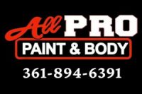 allpro-paint-body